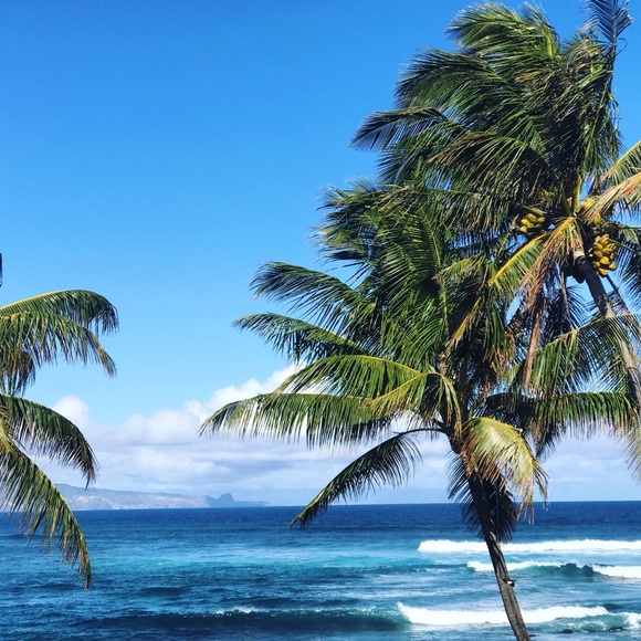 Meet the Posher Other - Meet your Posher, Luisa